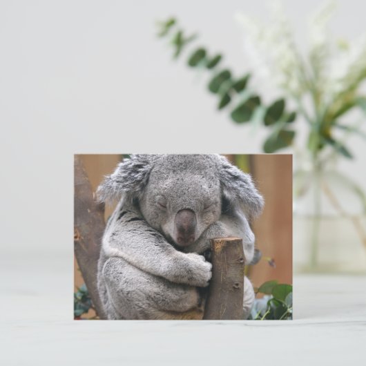 Koala Briefkaart (Staand voorkant)