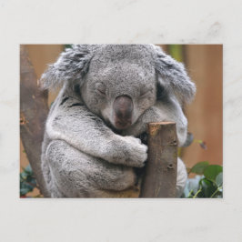 Koala Briefkaart