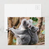Koala Briefkaart (Voorkant / Achterkant)