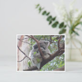 koala briefkaart (Staand voorkant)