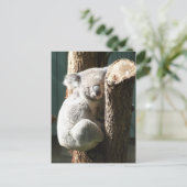 Koala Briefkaart (Staand voorkant)