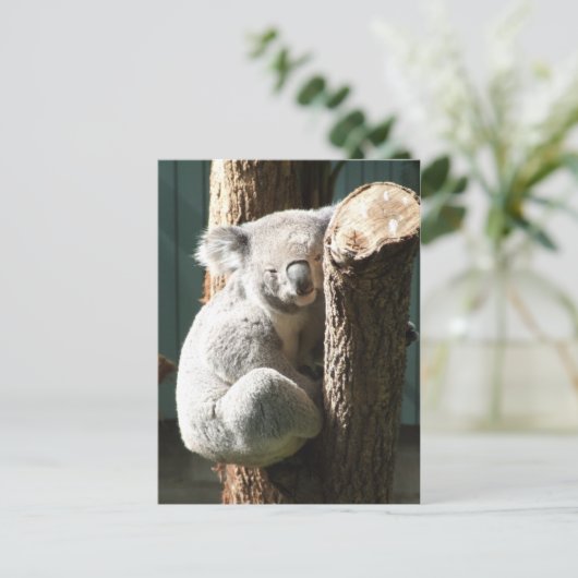 Koala Briefkaart (Staand voorkant)