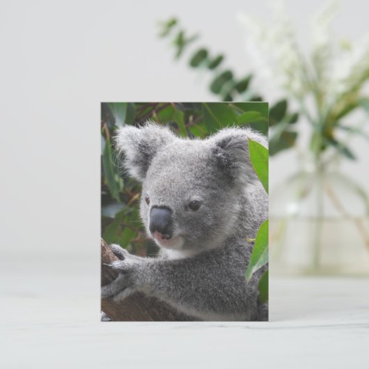 Koala Briefkaart (Staand voorkant)