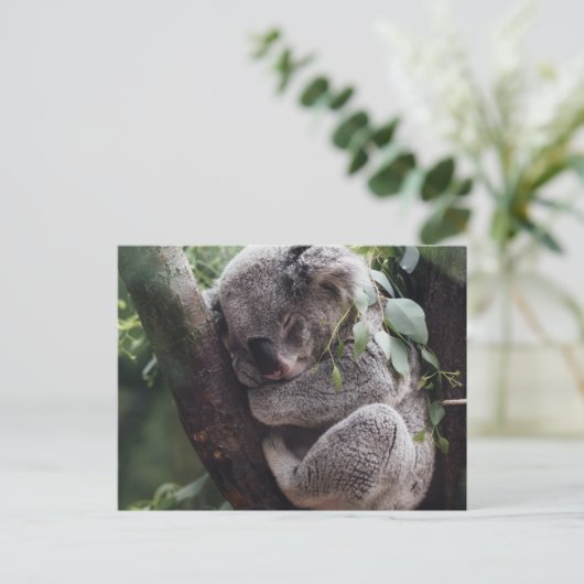 Koala Briefkaart (Staand voorkant)