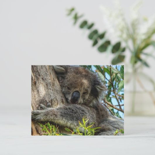 Koala Briefkaart (Staand voorkant)