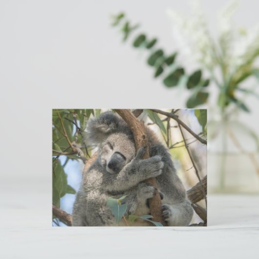 Koala Briefkaart (Staand voorkant)