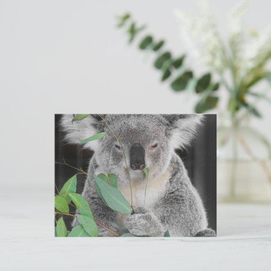 Koala Briefkaart (Staand voorkant)