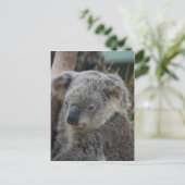 Koala Briefkaart (Staand voorkant)