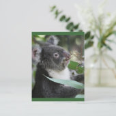Koala Briefkaart (Staand voorkant)