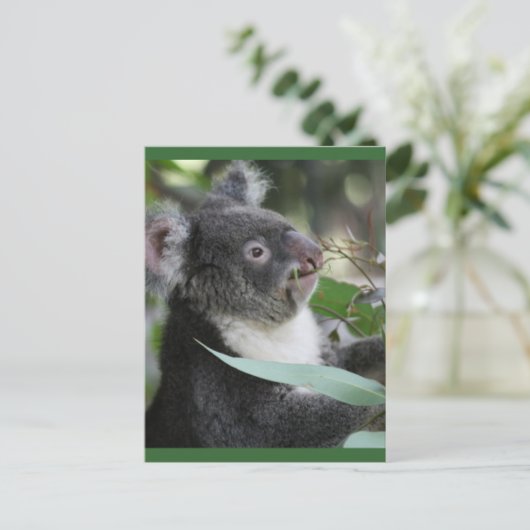 Koala Briefkaart (Staand voorkant)