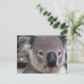 Koala Briefkaart (Staand voorkant)