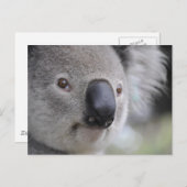 Koala Briefkaart (Voorkant / Achterkant)