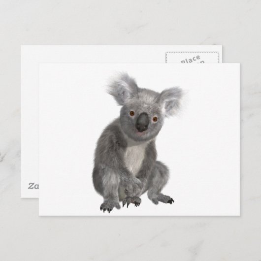 Koala Briefkaart (Voorkant / Achterkant)