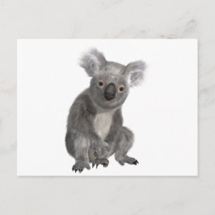 Koala Briefkaart