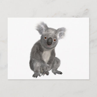 Koala Briefkaart