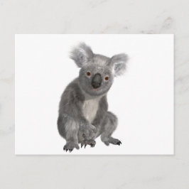 Koala Briefkaart