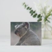 Koala Briefkaart (Staand voorkant)