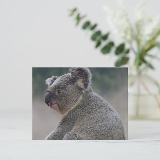 Koala Briefkaart (Staand voorkant)