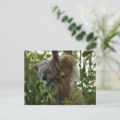 Koala Briefkaart (Staand voorkant)