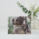 Koala Briefkaart (Staand voorkant)