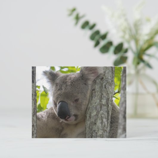 Koala Briefkaart (Staand voorkant)