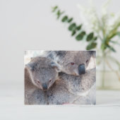 Koala Briefkaart (Staand voorkant)