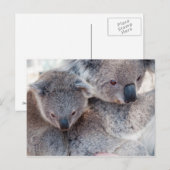 Koala Briefkaart (Voorkant / Achterkant)