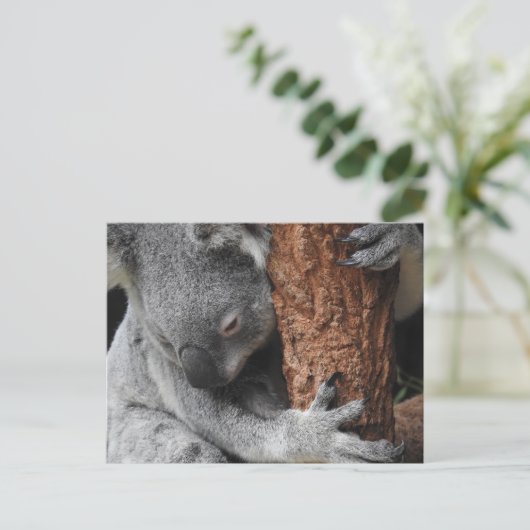 Koala Briefkaart (Staand voorkant)