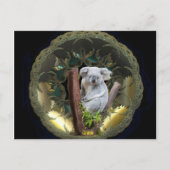 Koala Briefkaart (Voorkant)