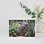 Koala Briefkaart (Staand voorkant)