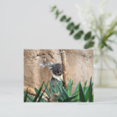 Koala Briefkaart (Staand voorkant)