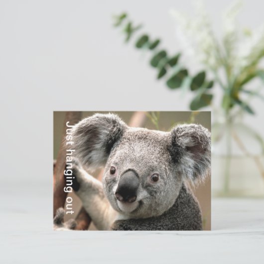 Koala Briefkaart (Staand voorkant)