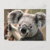 Koala Briefkaart (Voorkant)