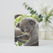 Koala Briefkaart (Staand voorkant)