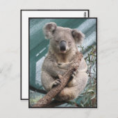Koala, Briefkaart, 2013, 4,25 x 5,6 inch Briefkaart (Voorkant / Achterkant)