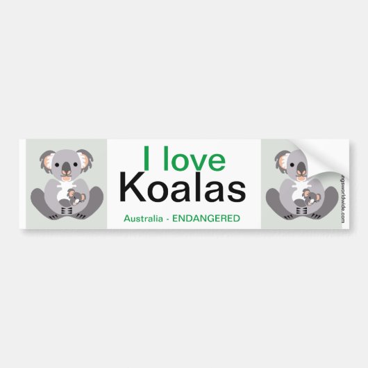 Koala- Bumpersticker (Voorkant)