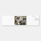Koala Bumpersticker (Voorkant)