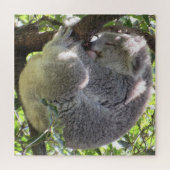 koala bundel legpuzzel (Horizontaal)