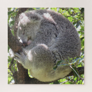 koala bundel legpuzzel