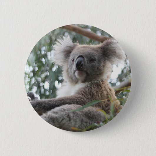 Koala Button (Voorkant)