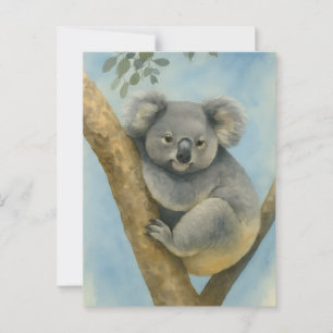 Koala Calm - Waterverf Wildlife Briefkaart