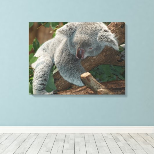 Koala Canvas Afdruk (Insitu (Houten vloer))