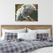 Koala Canvas Afdruk (Insitu (Slaapkamer))