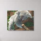Koala Canvas Afdruk (Voorkant)