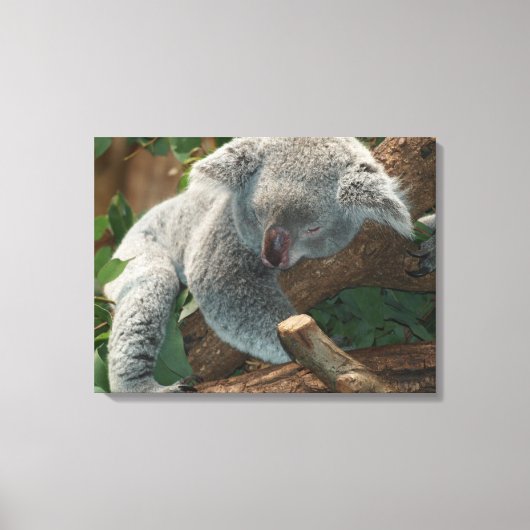 Koala Canvas Afdruk (Voorkant)
