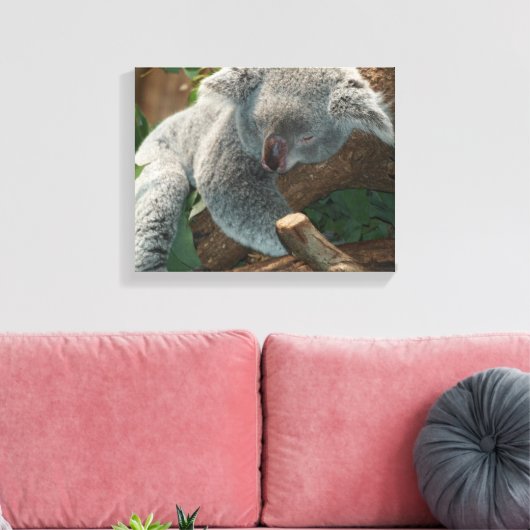 Koala Canvas Afdruk (Insitu (Woonkamer))