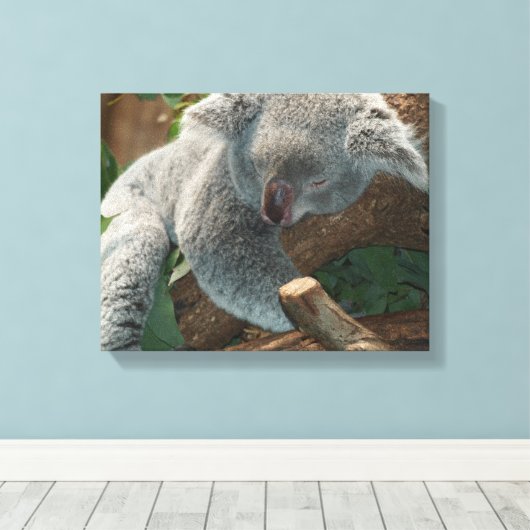 Koala Canvas Afdruk (Insitu (Houten vloer))