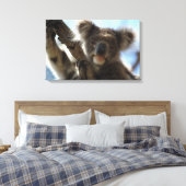 koala canvas afdruk (Insitu (Slaapkamer))