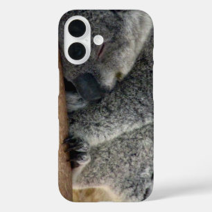 koala iPhone 16 hoesje