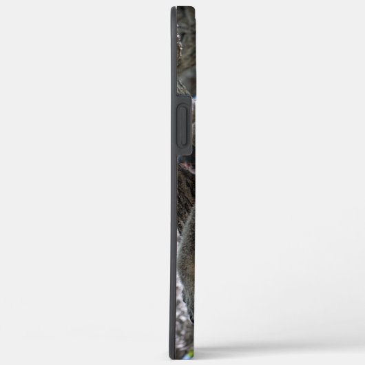 Koala Case-Mate iPhone Case (Achterkant / Rechts)